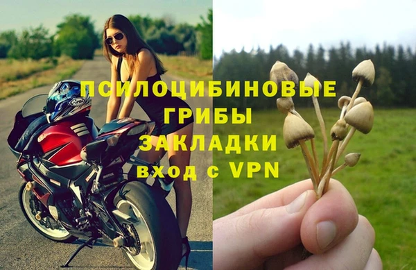 шишки Балабаново