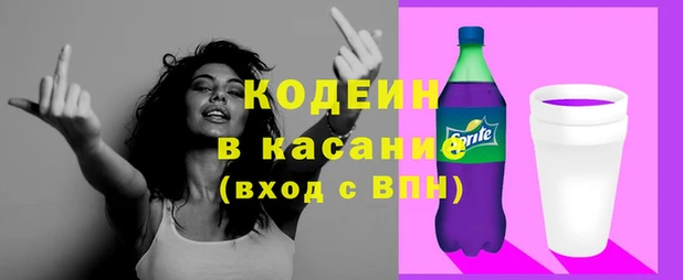 трава Белокуриха