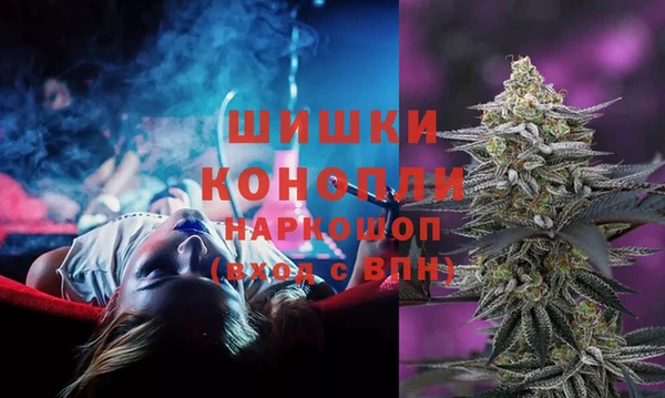 трава Белокуриха
