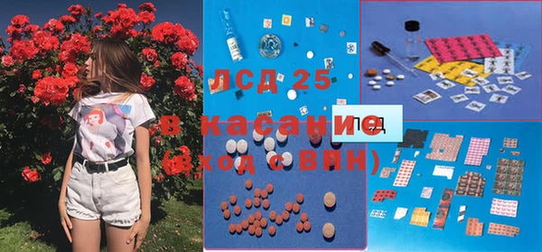 трава Белокуриха