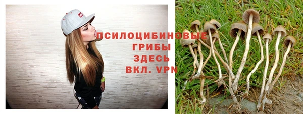 apvp Балахна