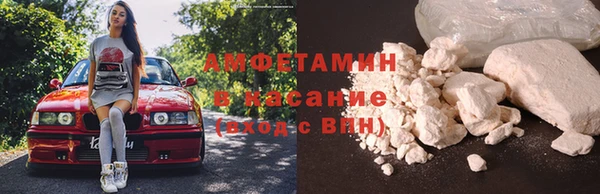 шишки Балабаново